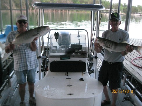 Nice Striped Bass